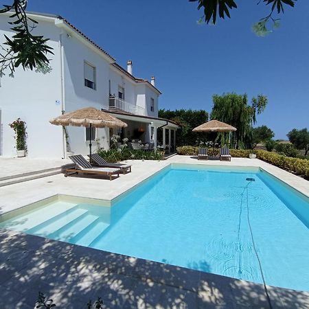 Tenuta Viale Degli Ulivi San Martino in Pensilis Экстерьер фото