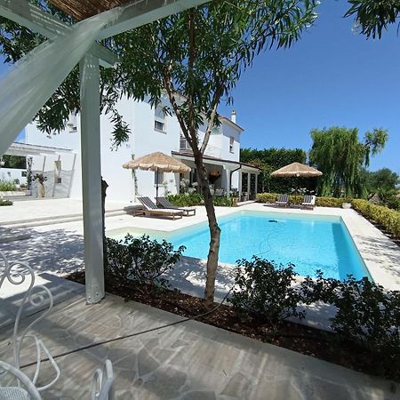 Tenuta Viale Degli Ulivi San Martino in Pensilis Экстерьер фото