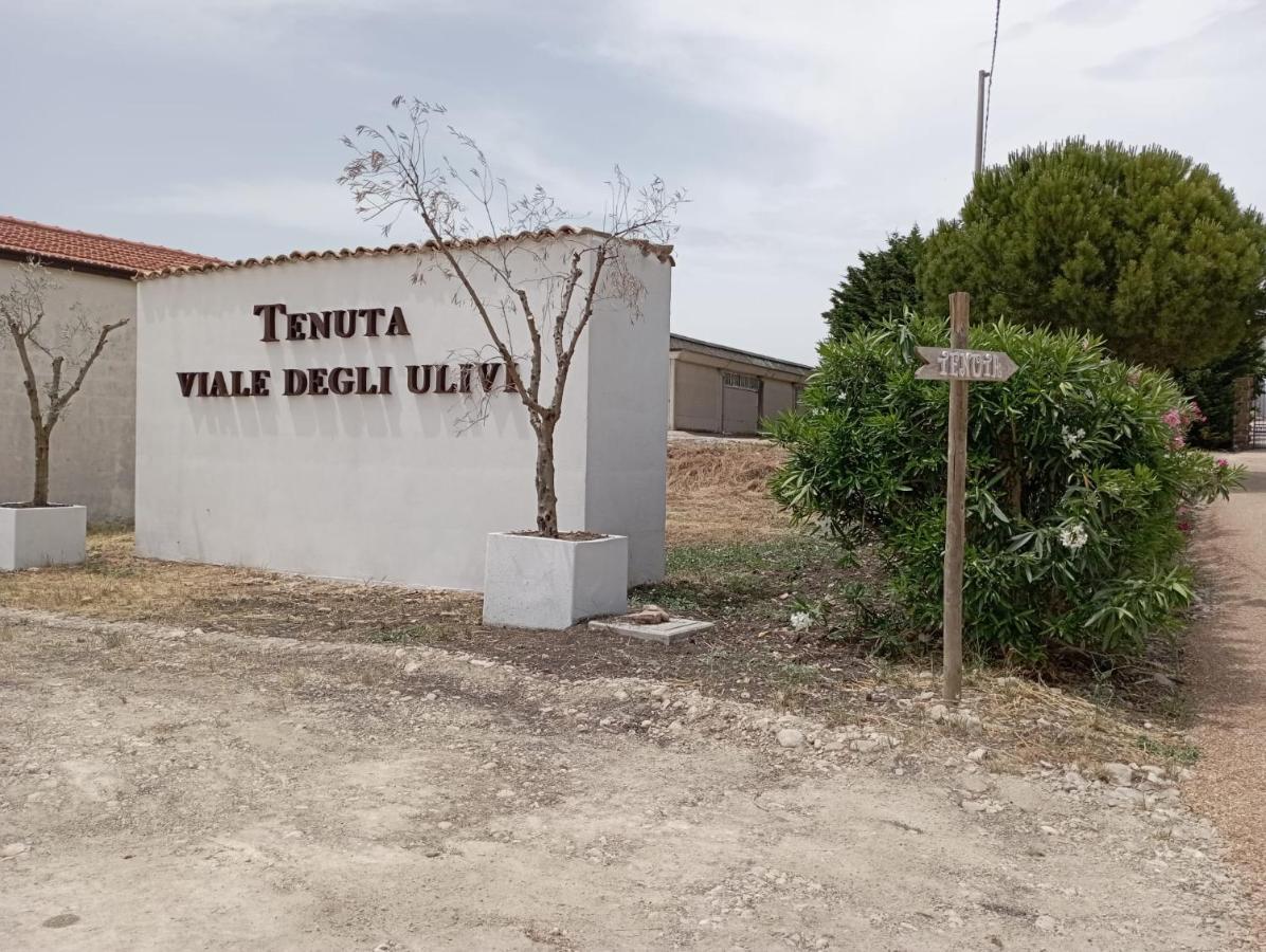 Tenuta Viale Degli Ulivi San Martino in Pensilis Экстерьер фото