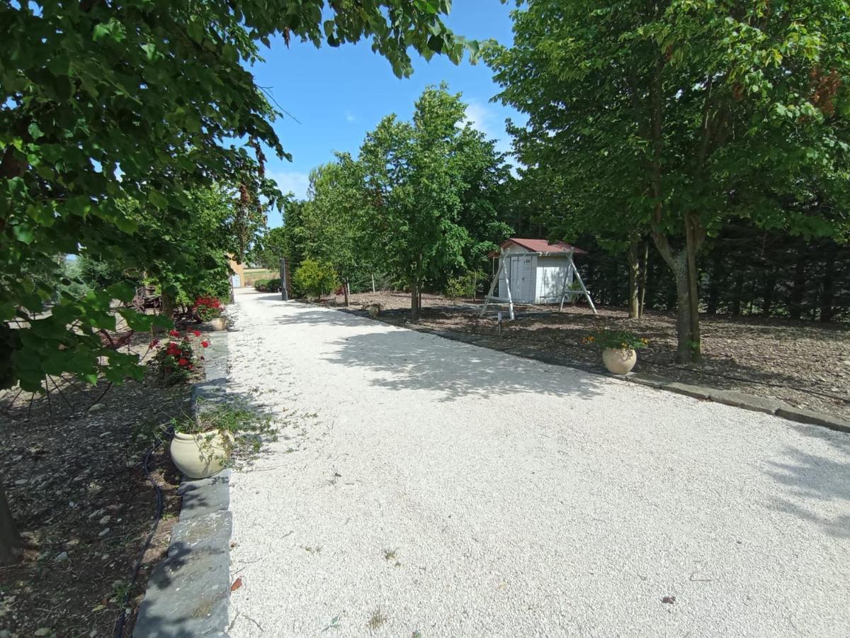 Tenuta Viale Degli Ulivi San Martino in Pensilis Экстерьер фото