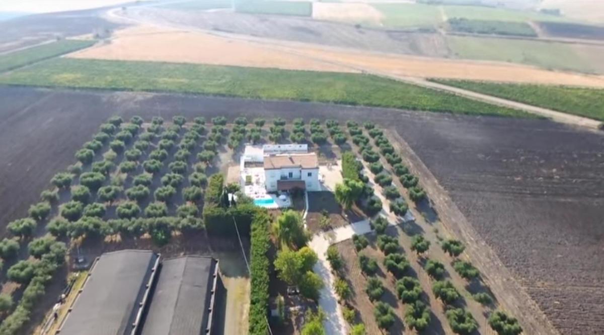Tenuta Viale Degli Ulivi San Martino in Pensilis Экстерьер фото