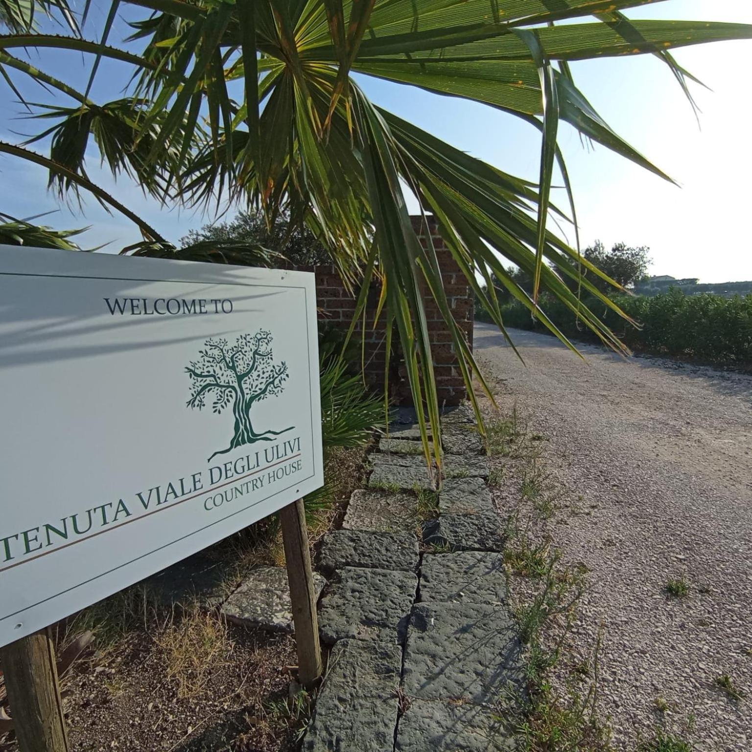 Tenuta Viale Degli Ulivi San Martino in Pensilis Экстерьер фото