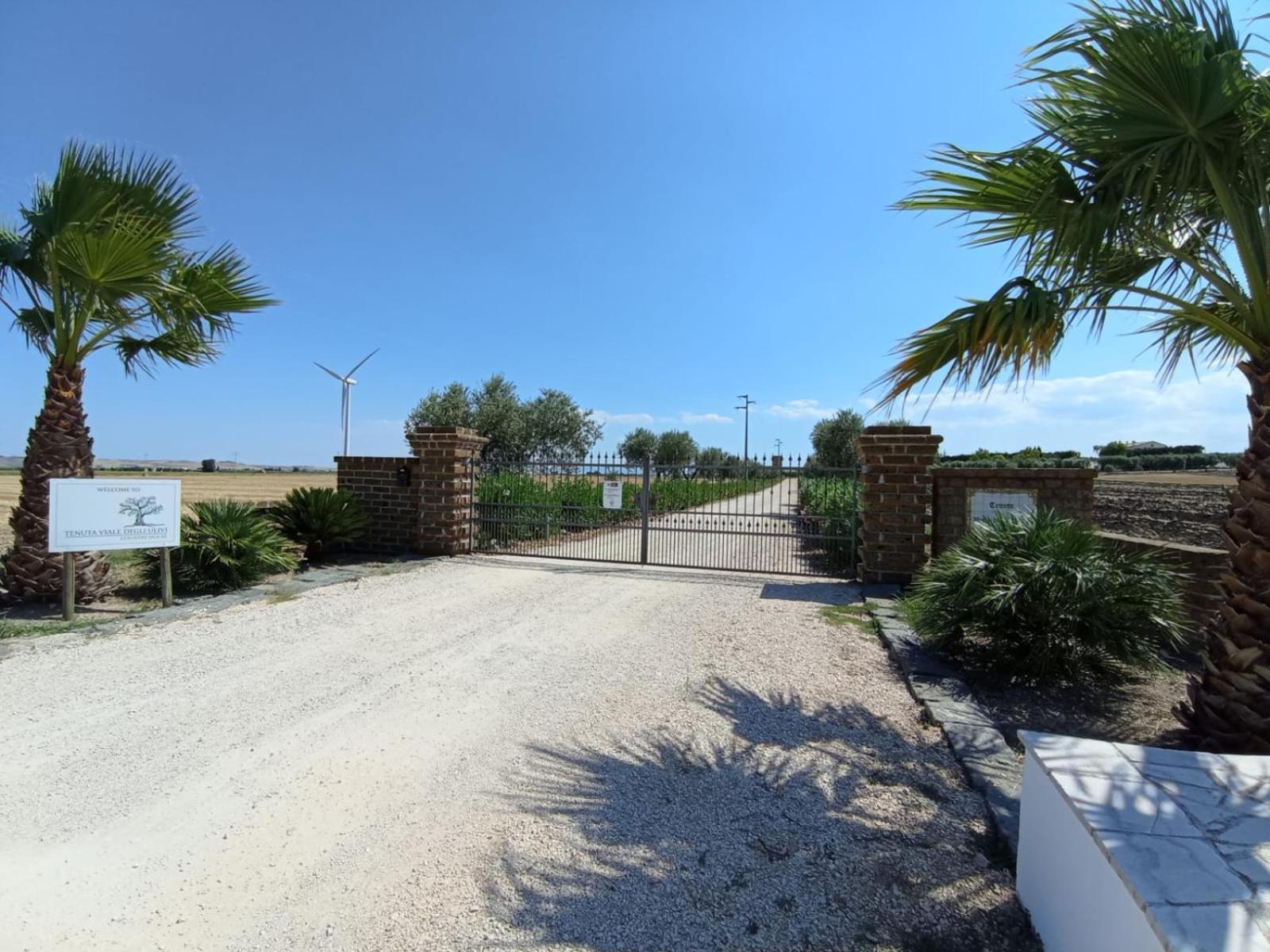 Tenuta Viale Degli Ulivi San Martino in Pensilis Экстерьер фото