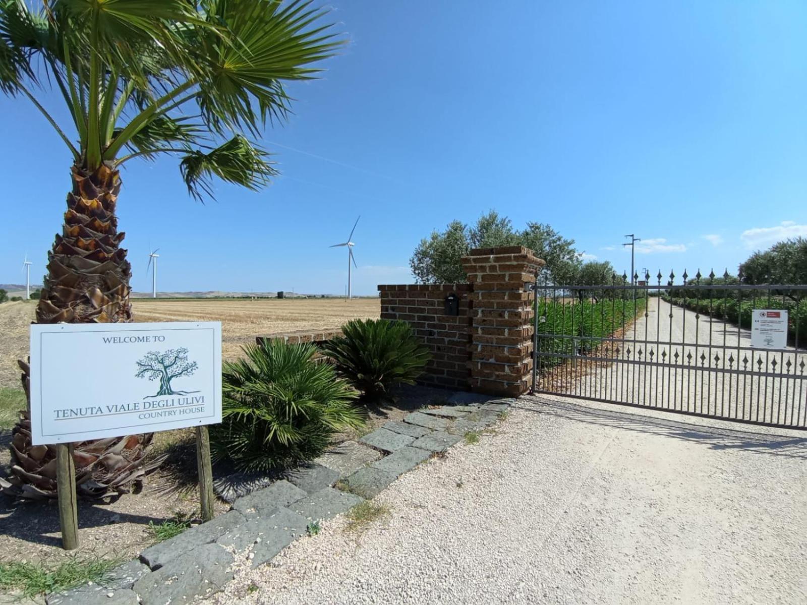 Tenuta Viale Degli Ulivi San Martino in Pensilis Экстерьер фото