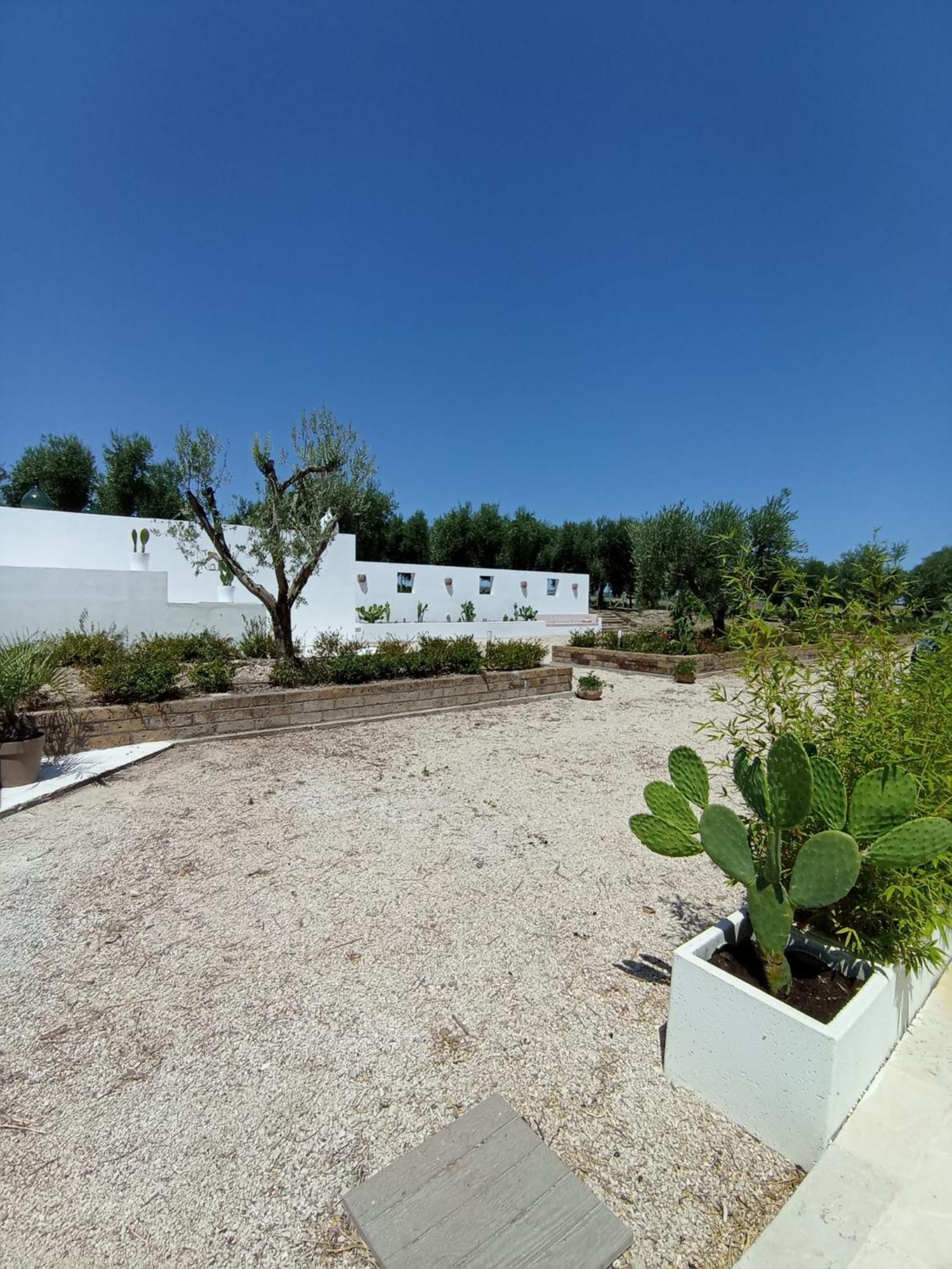 Tenuta Viale Degli Ulivi San Martino in Pensilis Экстерьер фото