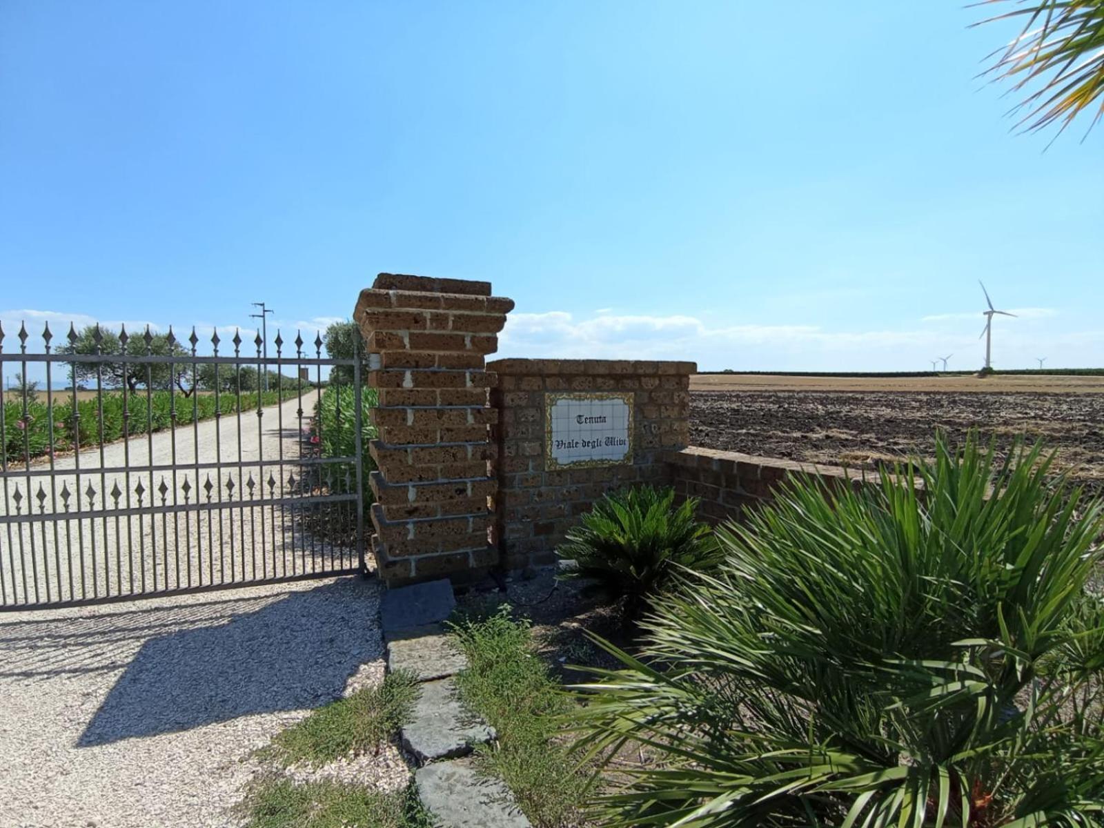 Tenuta Viale Degli Ulivi San Martino in Pensilis Экстерьер фото