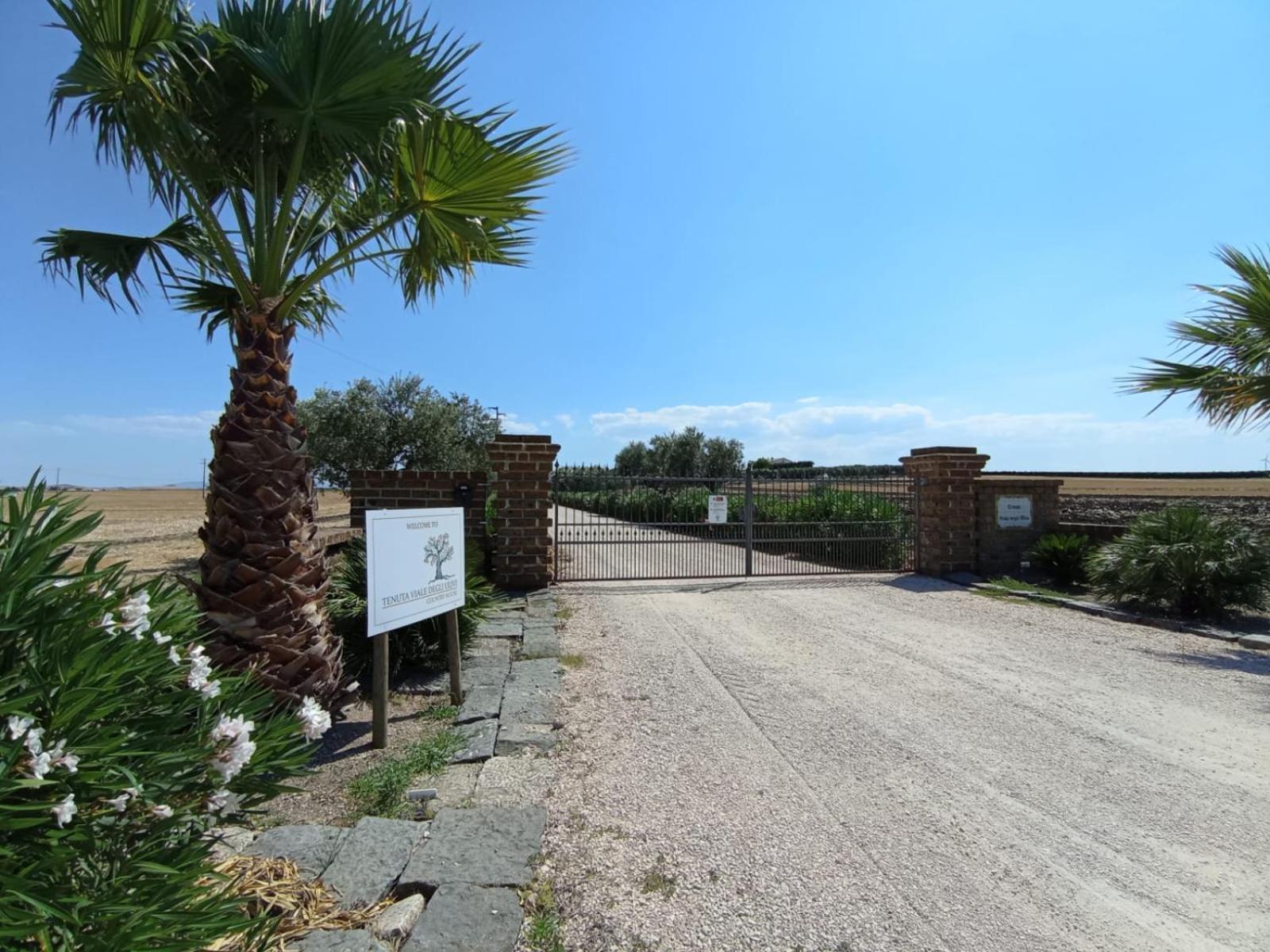 Tenuta Viale Degli Ulivi San Martino in Pensilis Экстерьер фото
